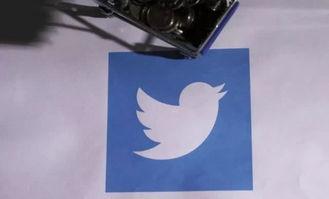 今日头条小料爆料,揭秘娱乐圈最新热点事件！